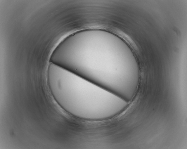 X0000114201236200910091042