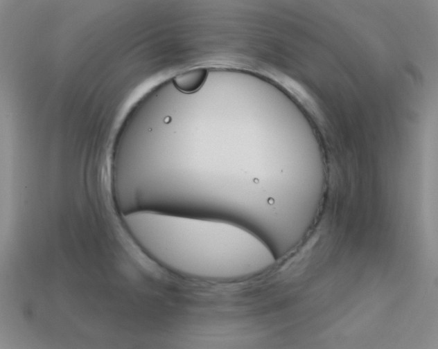 X0000114201238200910091042