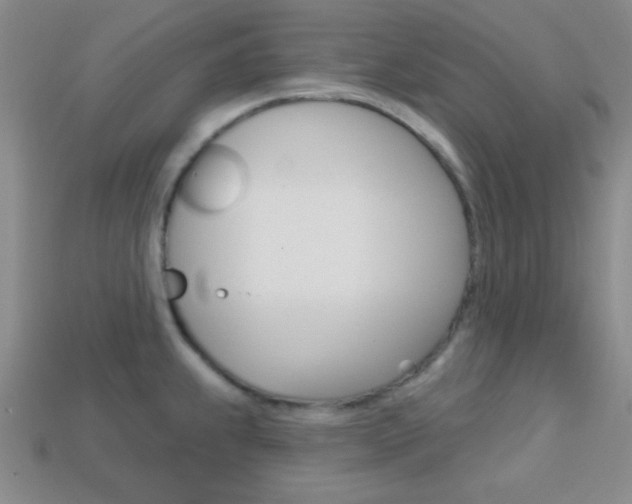 X0000114201239200910091042