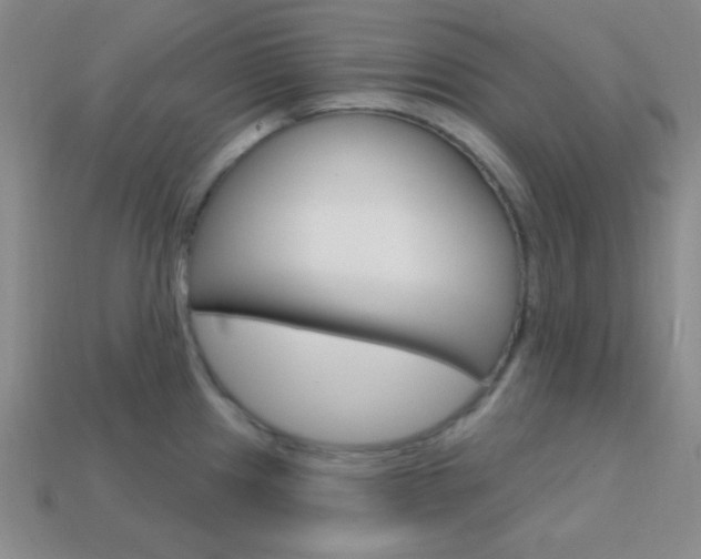 X0000114201241200910091042