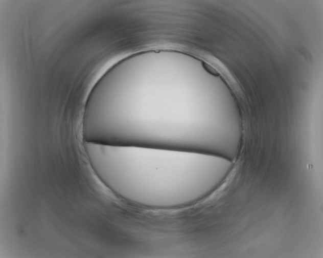 X0000114201244200910091042