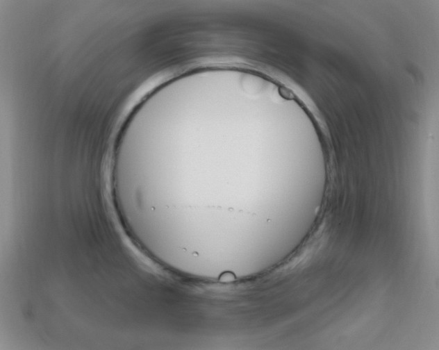X0000114201245200910091042