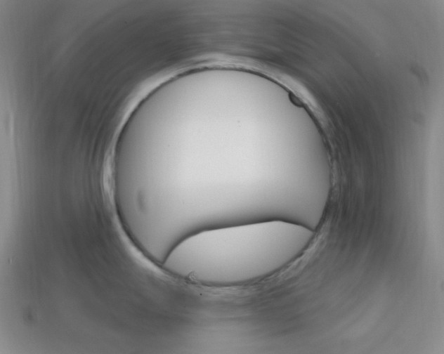 X0000114201247200910091042