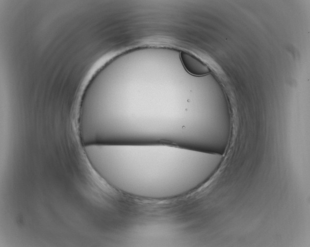 X0000114201248200910091042