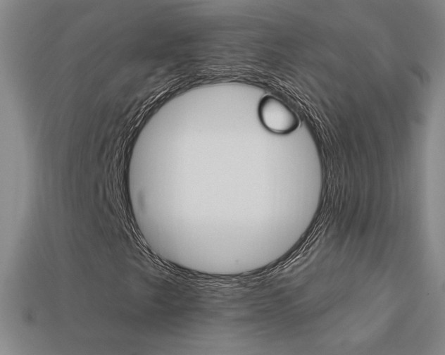 X0000114201249200910091041