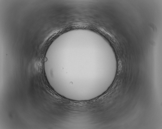 X0000114201254200910091041