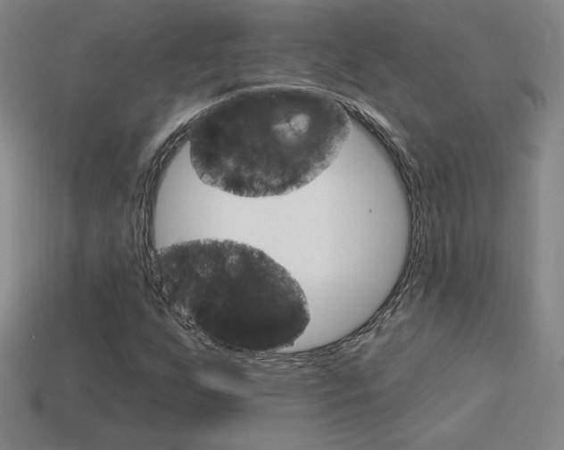 X0000114201255200910091041