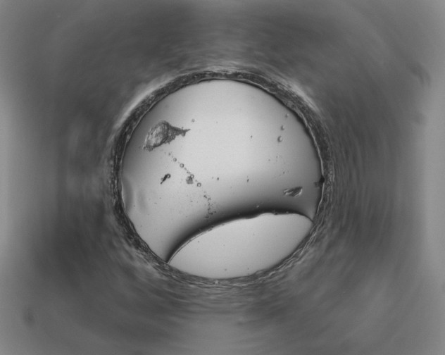 X0000114201256200910091041
