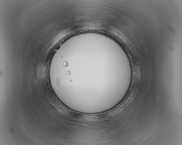 X0000114201258200910091041