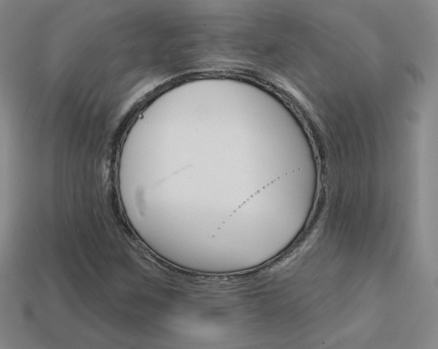 X0000114201259200910091041