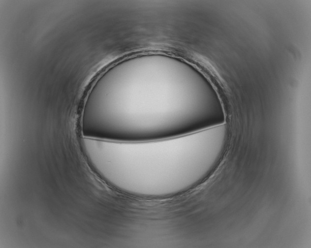 X0000114201260200910091041