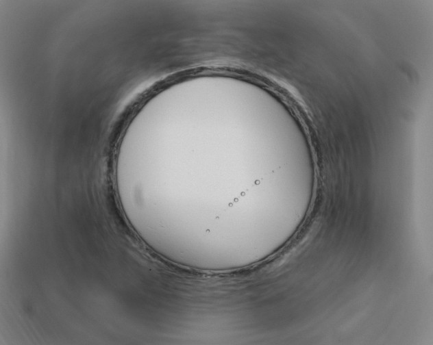 X0000114201263200910091041