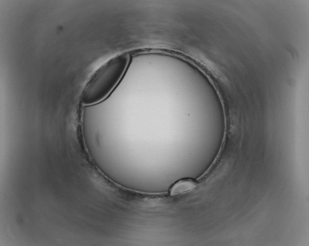 X0000114201264200910091041