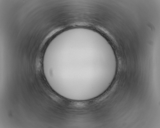 X0000114201266200910091041