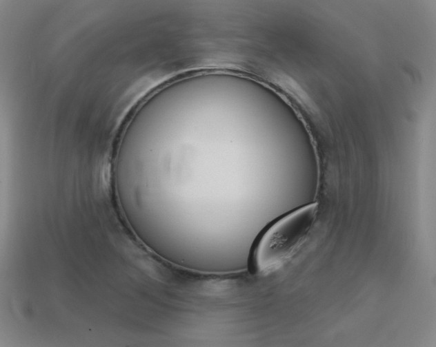 X0000114201268200910091041