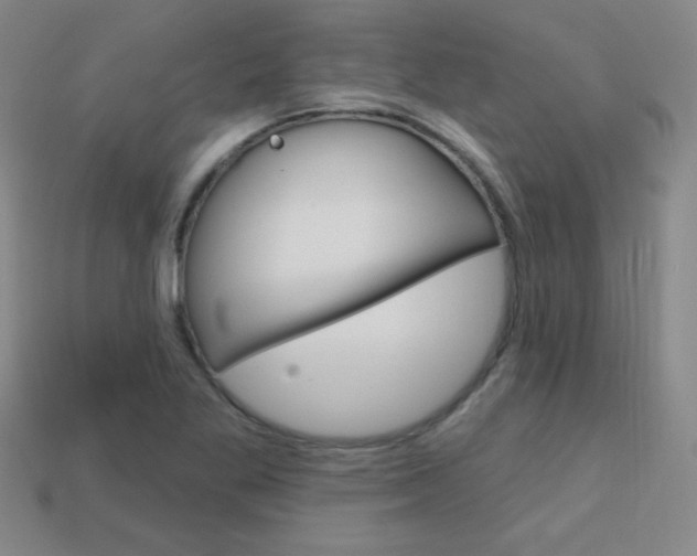X0000114201269200910091041