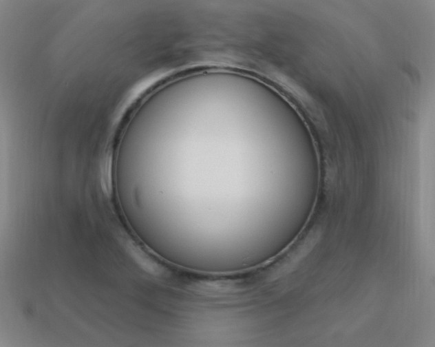 X0000114201272200910091041