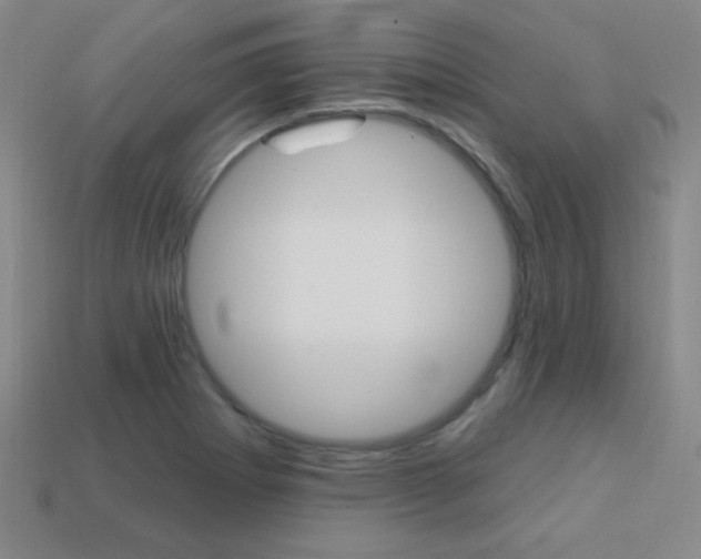 X0000114201273200910091041
