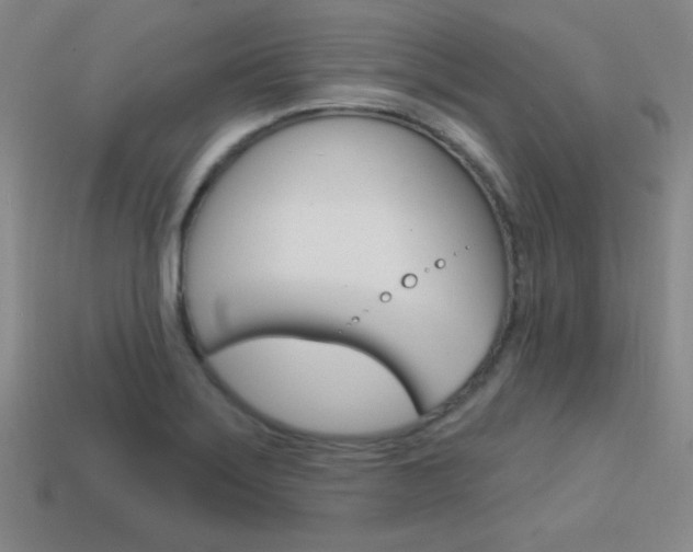 X0000114201275200910091041