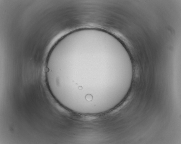 X0000114201278200910091041