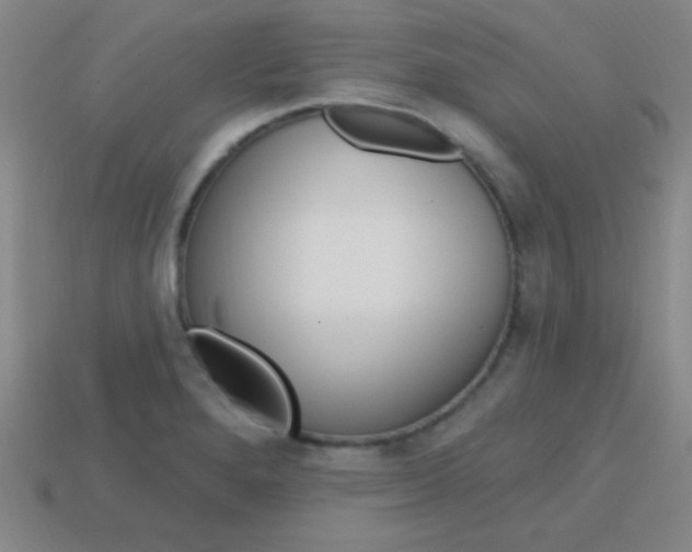 X0000114201280200910091041