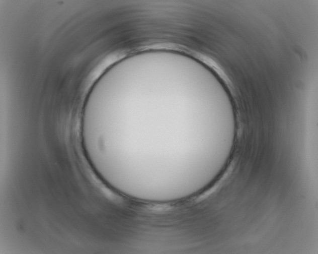 X0000114201282200910091041