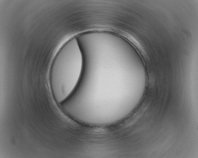 X0000114201283200910091041