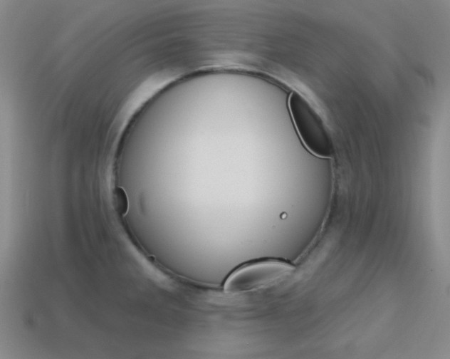 X0000114201285200910091041