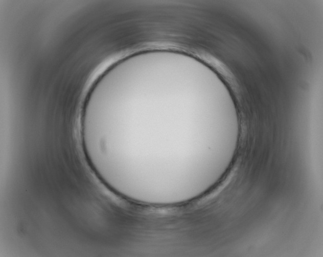 X0000114201286200910091041