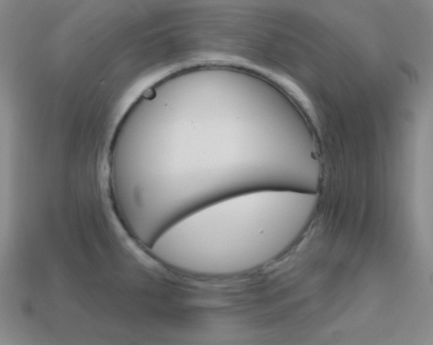 X0000114201287200910091041