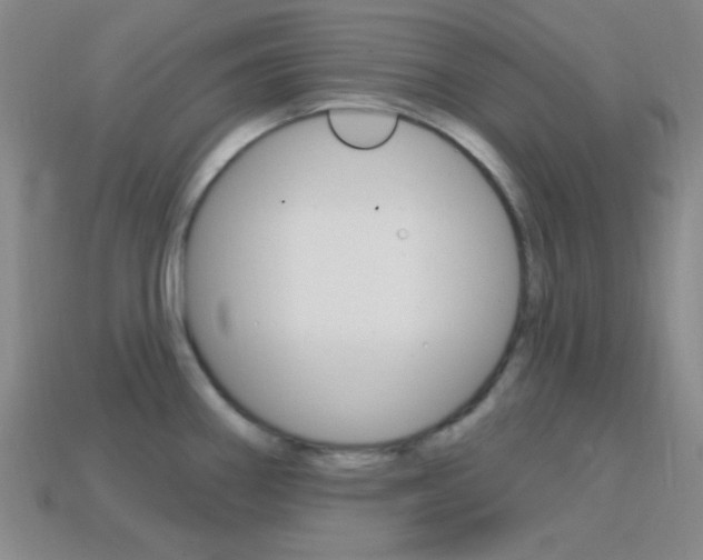 X0000114201290200910091041