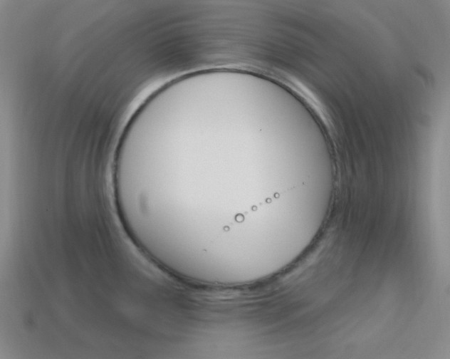 X0000114201291200910091041