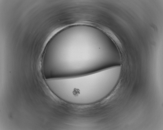 X0000114201292200910091041