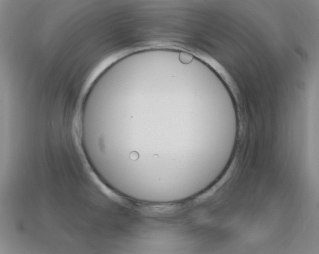 X0000114201294200910091041