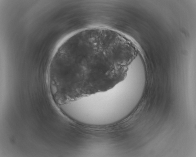 X0000114201295200910091041