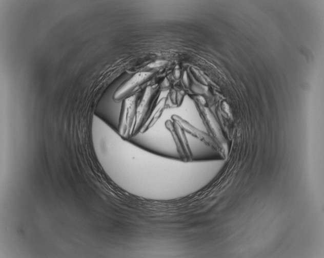 X0000114201298200910091040
