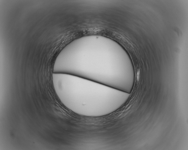 X0000114201299200910091040