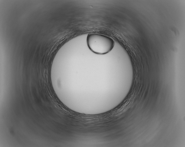 X0000114201300200910091040