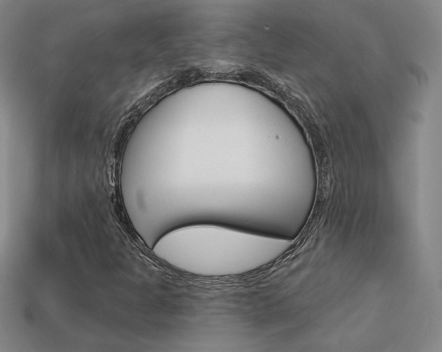 X0000114201301200910091040