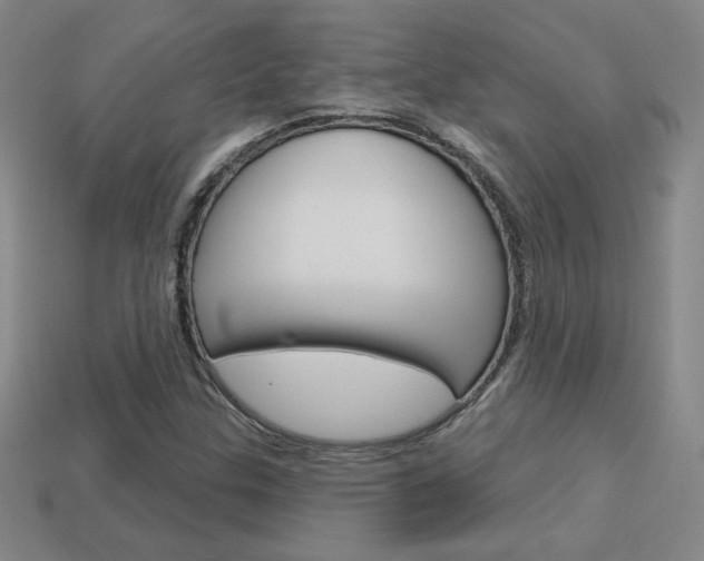 X0000114201307200910091040