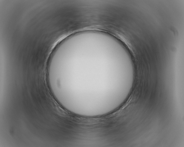 X0000114201308200910091040