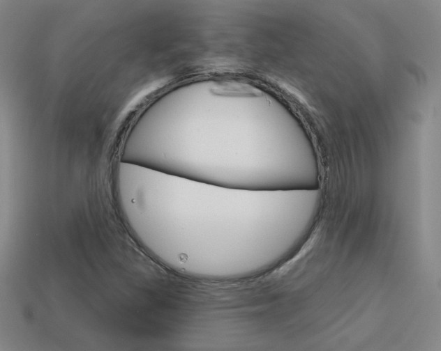 X0000114201309200910091040