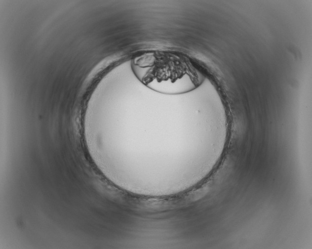X0000114201314200910091040