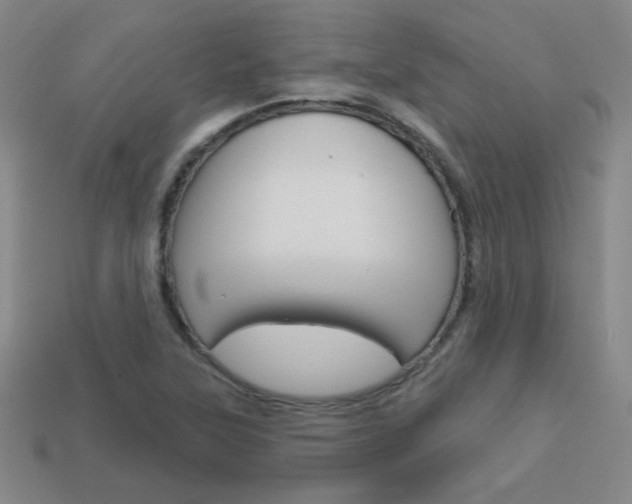 X0000114201315200910091040