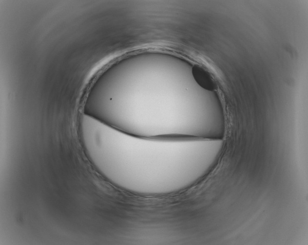 X0000114201316200910091040
