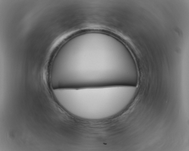 X0000114201319200910091040