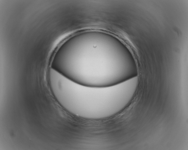 X0000114201320200910091040