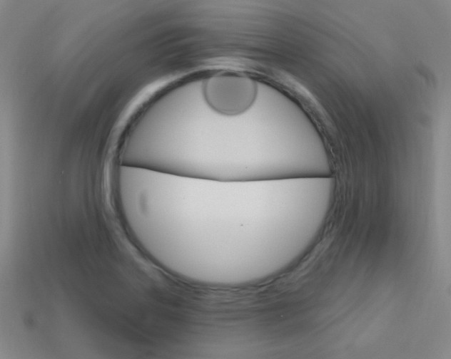 X0000114201323200910091040