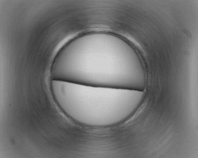 X0000114201325200910091040