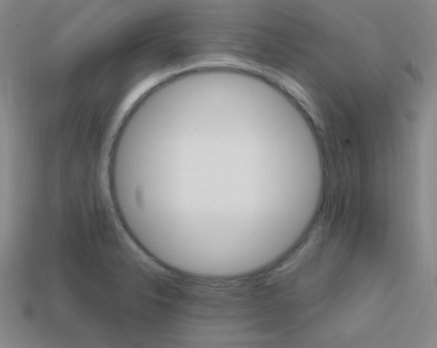 X0000114201326200910091040